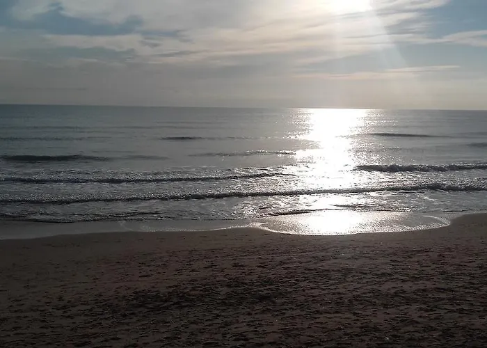 Apartamento Guardamar Playa